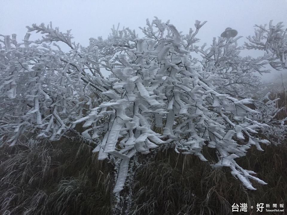 寒流來襲，太平山現雪景（圖／太平山國家森林遊樂區臉書專頁）