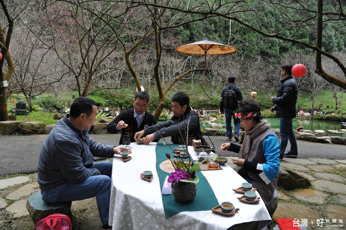 魚池鄉長陳錦倫〈後左〉參加櫻花茶會品茗活動。