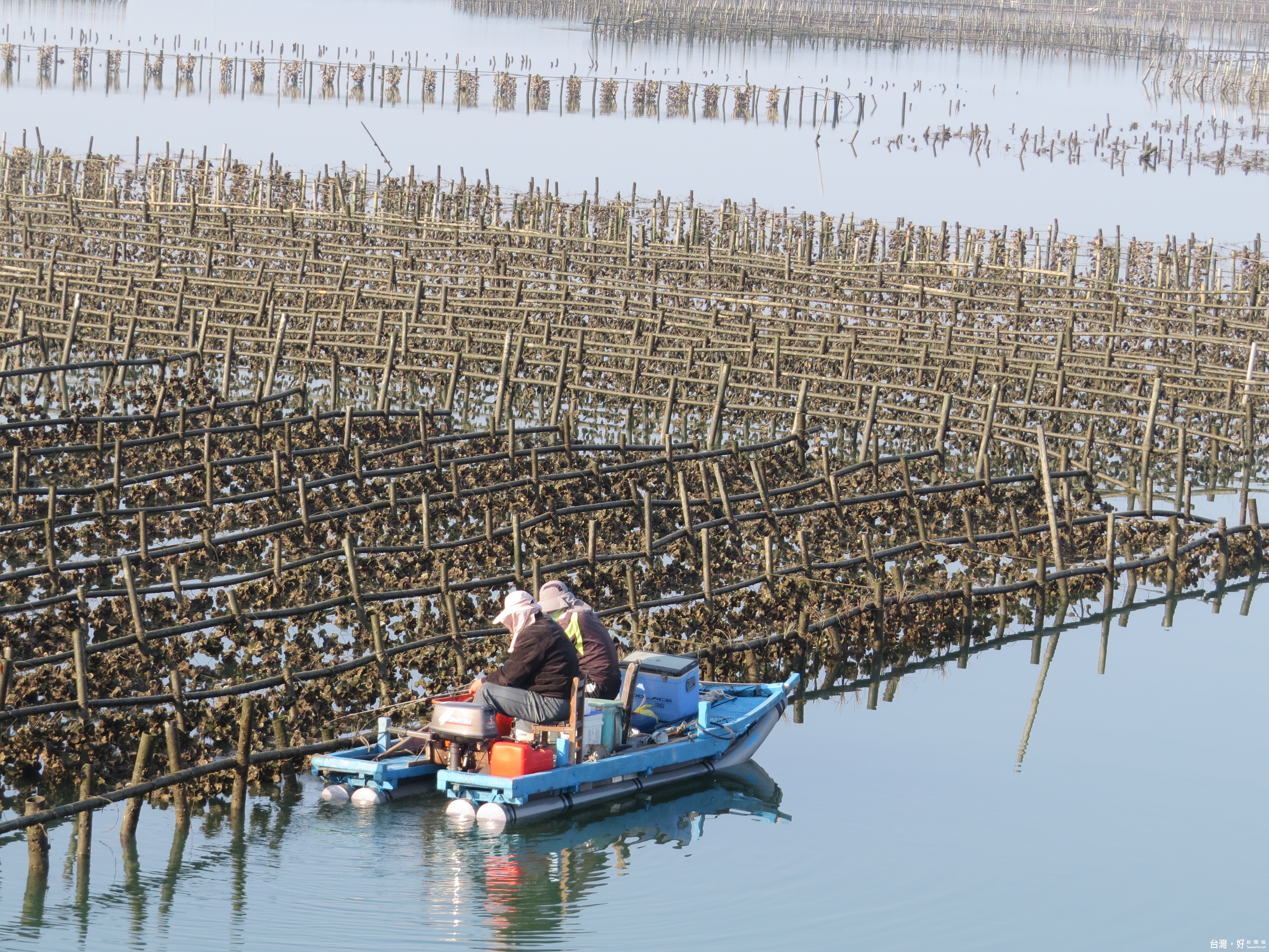 被遺忘的白水湖壽島海灘長約六公里,比外傘頂洲更親近有趣