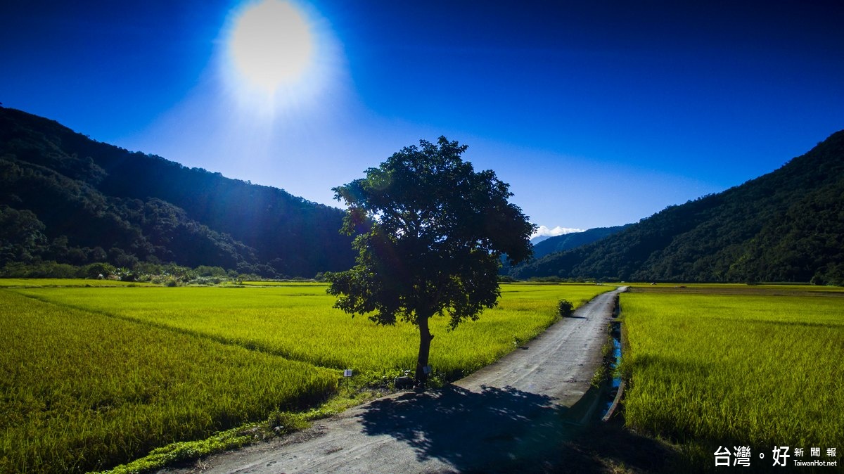 南安第一畝田。〈圖片玉山國家公園管理處提供〉