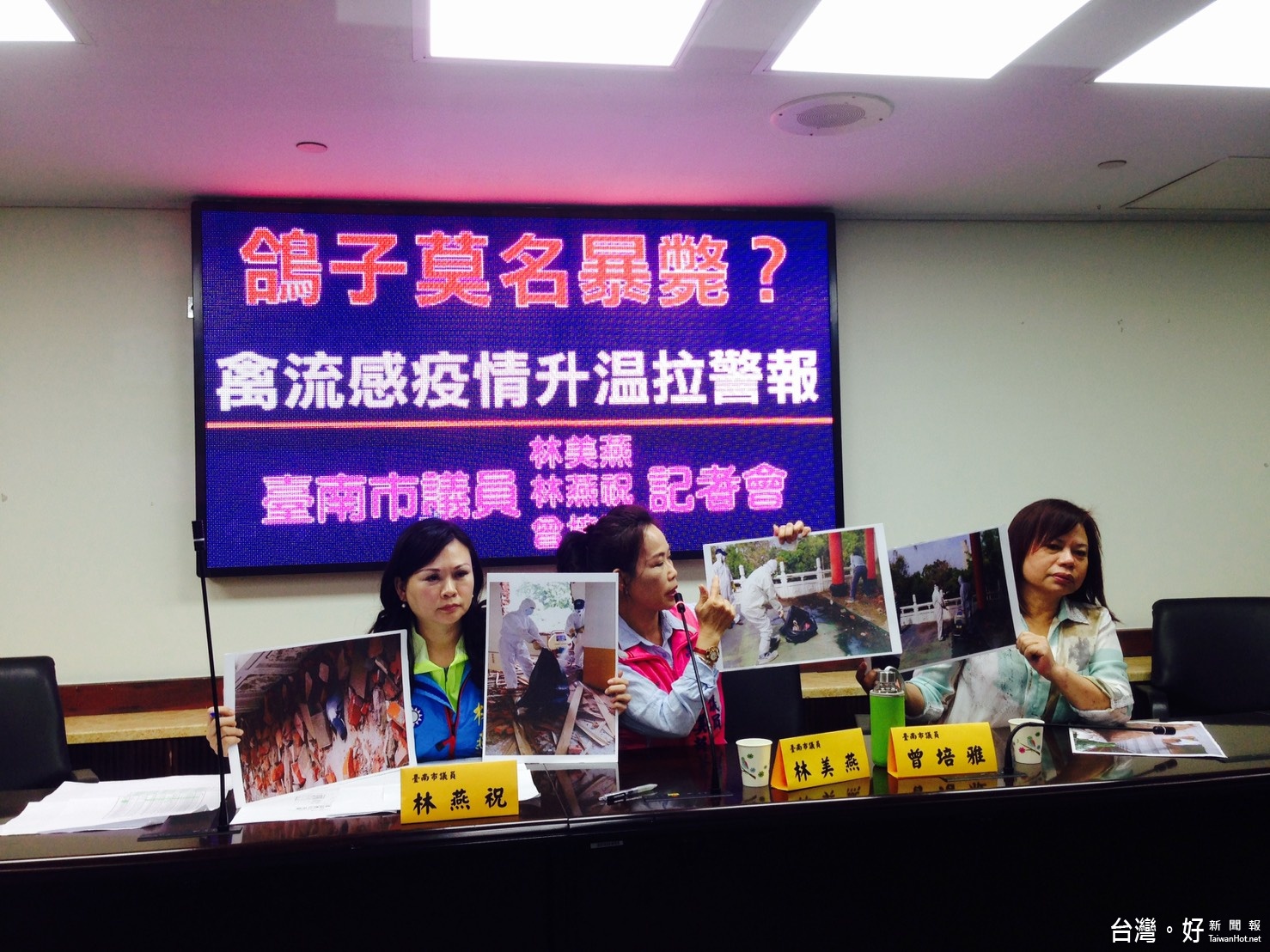 議員林美燕、林燕祝與曾培雅立即召開記者會,要市府以「防疫從嚴」為原則對抗禽流感,避免疫情擴散。