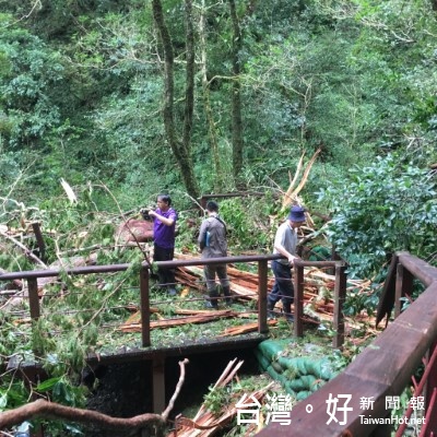 植樹護林守護台灣　大溪工作站送樹苗