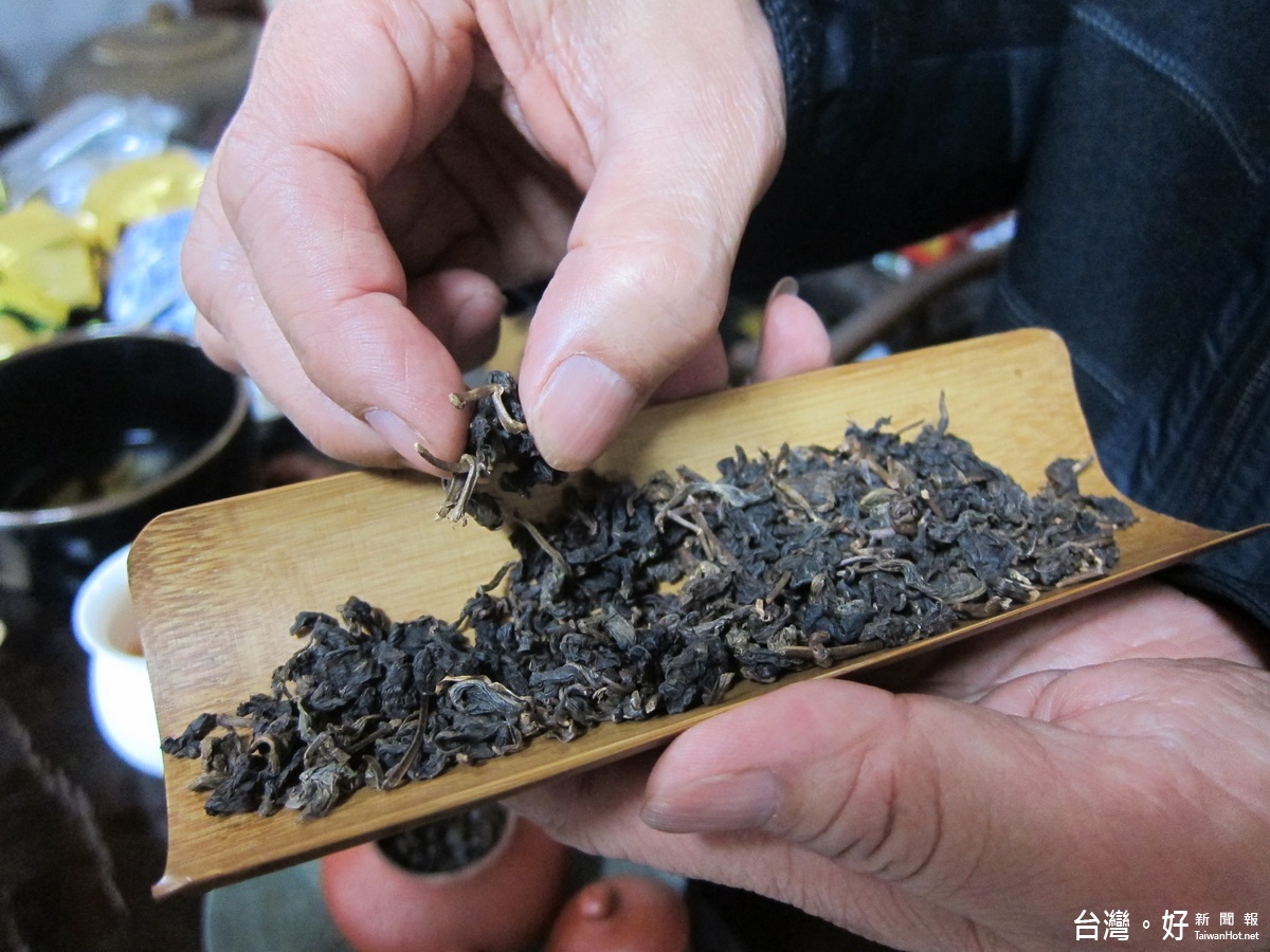 30年好茶帶著陳化後的香氣。(記者扶小萍攝)