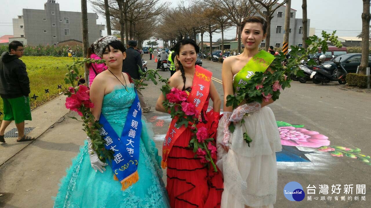 「戀戀學甲蜀葵花仙子、禮服攝影活動」周六登場。(記者邱仁武/攝)