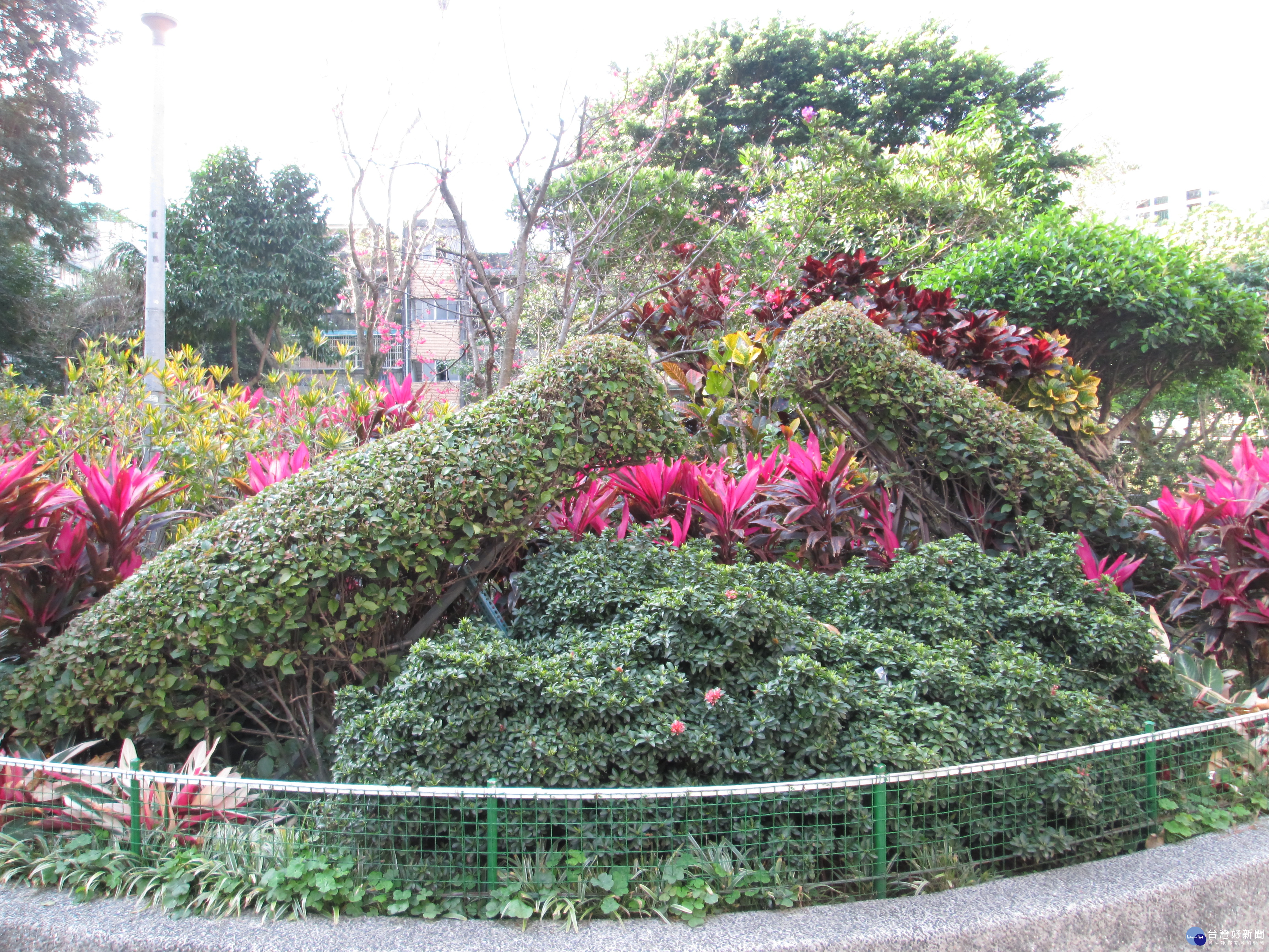 龍陣二號公園養綠雕 彷彿置身動物園