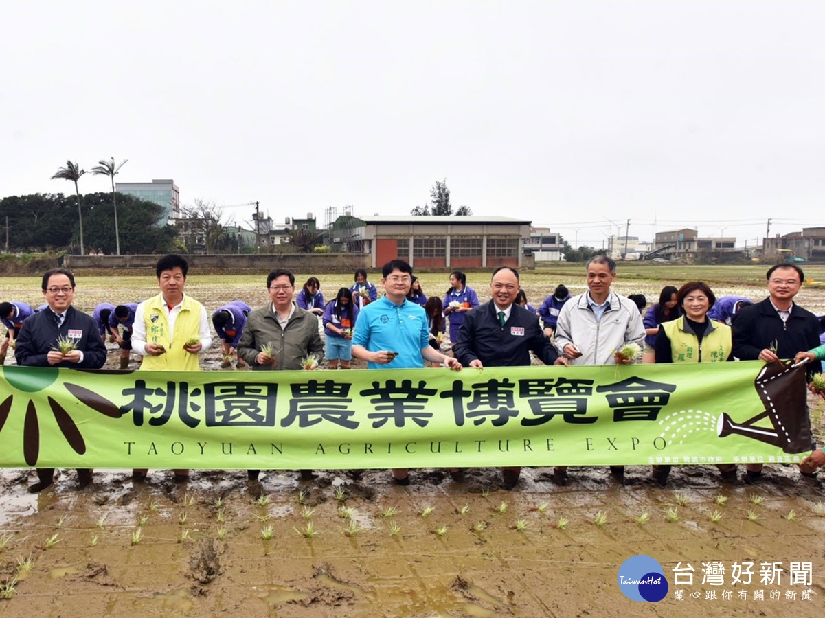 桃園市農業博覽會彩繪稻田插秧,視覺彩繪稻田景觀