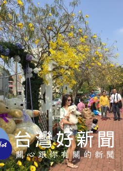 花徑漫步逛市集,幸福小熊打卡最吸睛