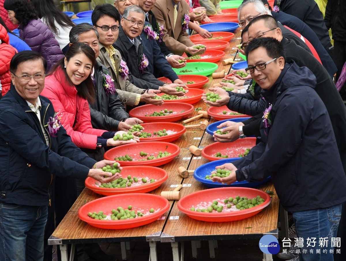 南投縣長林明溱〈左1〉、立委許淑華〈左2〉等貴賓參加千人製梅DIY活動。〈記者吳素珍攝〉