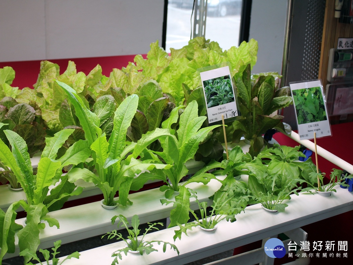 智能植物工廠系統,使智能植物工廠具有適時適地的調整栽培管理的新形態農業技術