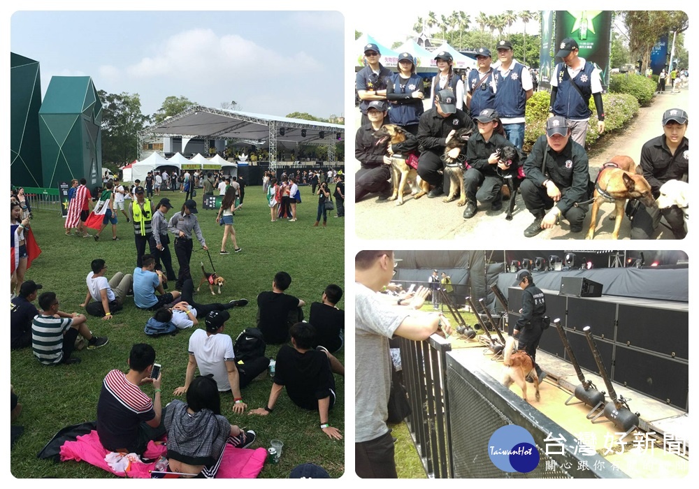 楊梅分局擔心年輕人到場狂歡,不小心沾染上毒品,特別商請新北市政府警察局帶領著6隻緝毒犬,到活動現場進行盤查。
