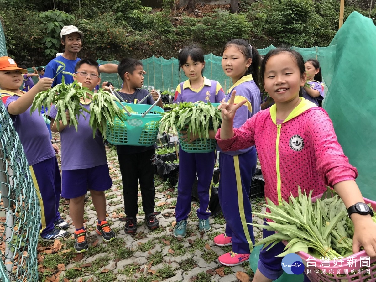 蔬菜收成了，小朋友最是高興。〈記者吳素珍攝〉