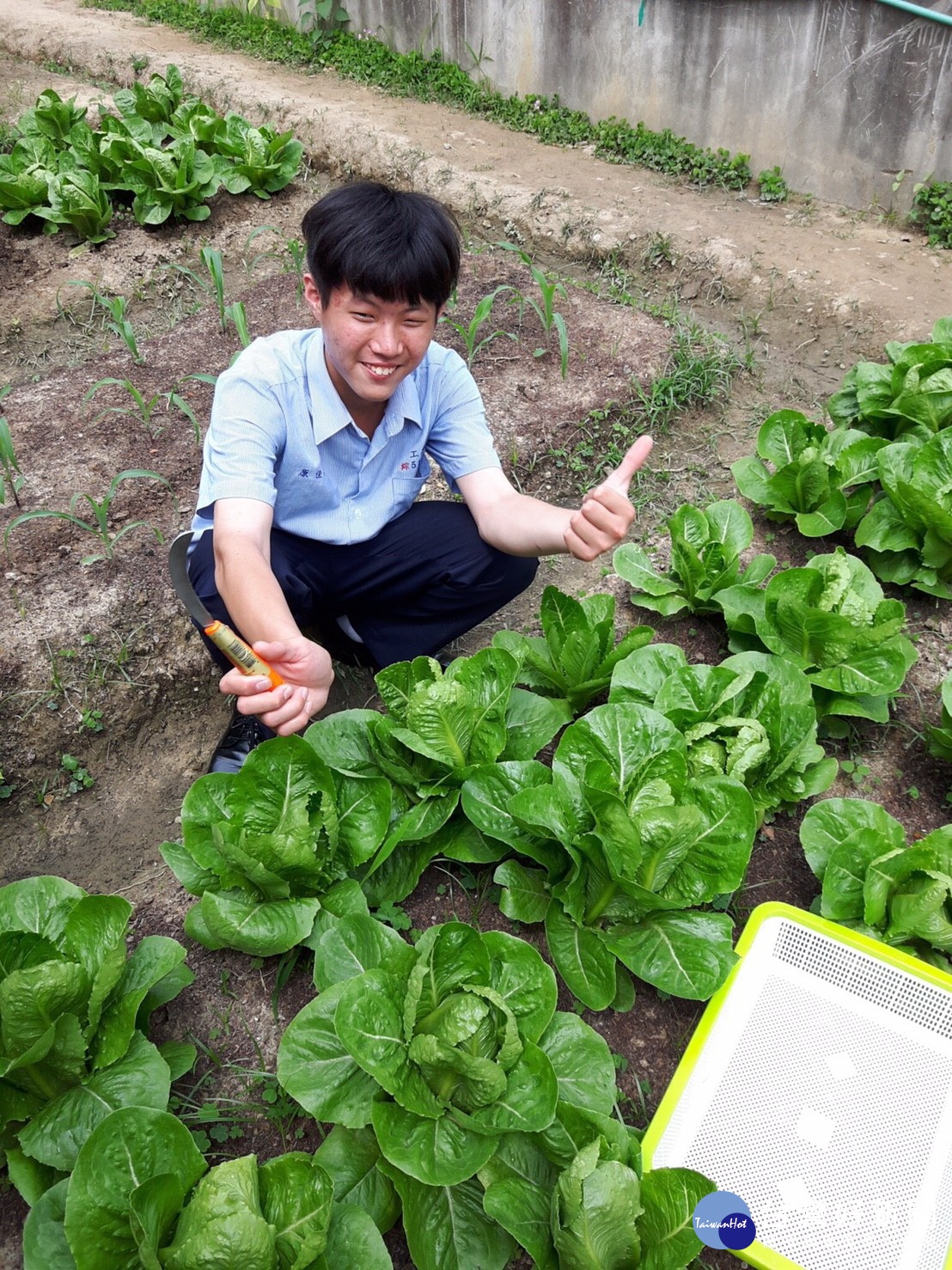 台中高工的幸福小田園學習農場