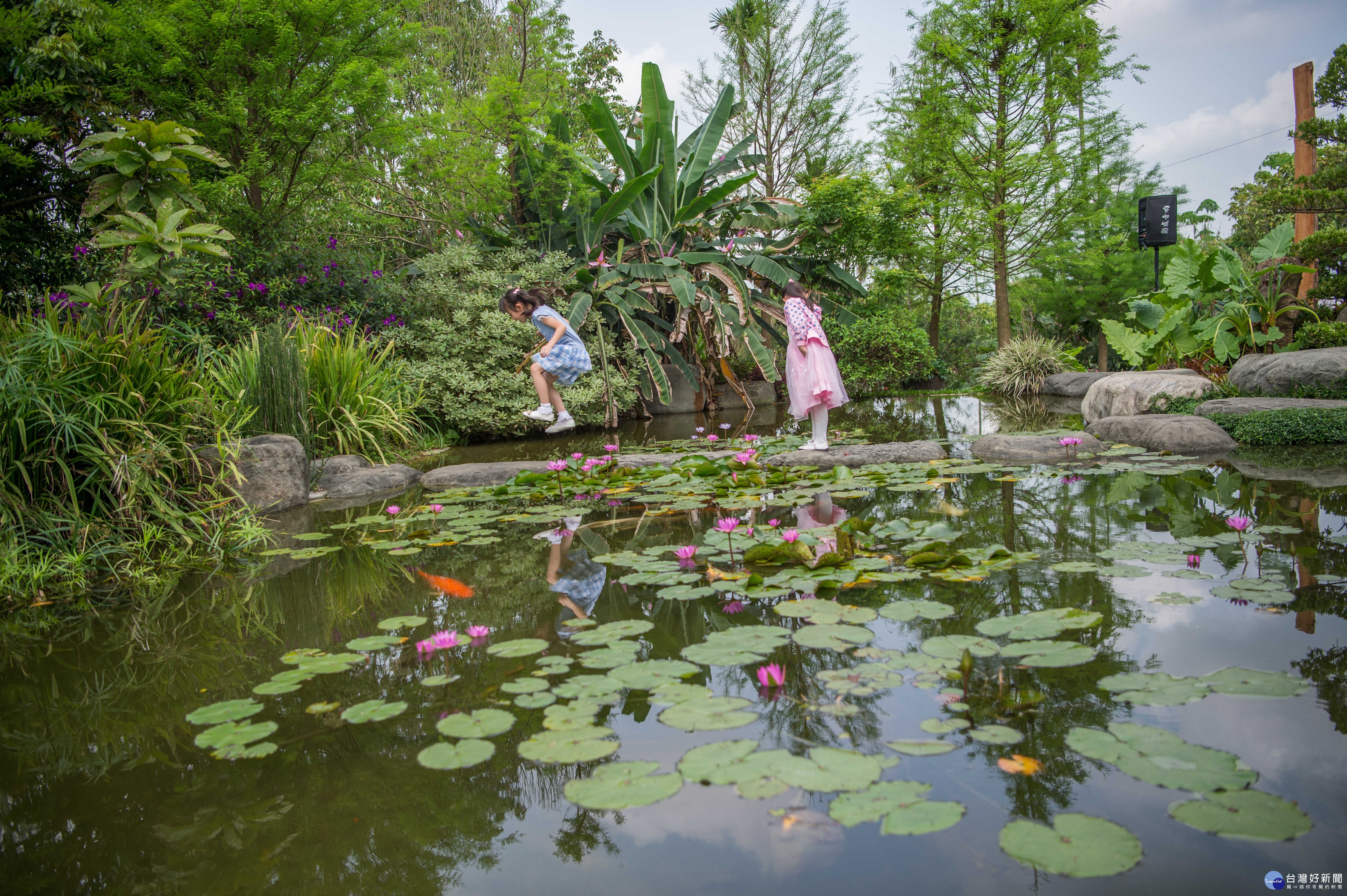 嘉義市懷舊輕旅行 搭森鐵賞花遊生態