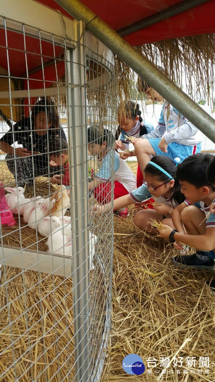 微笑牧場餵食活動,「兔遊田園區」,吸引不少大小朋友排隊餵食。