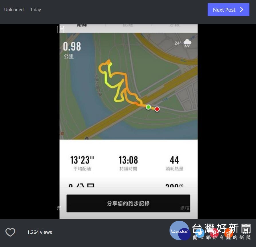 袋鼠(圖/翻攝自PTT)