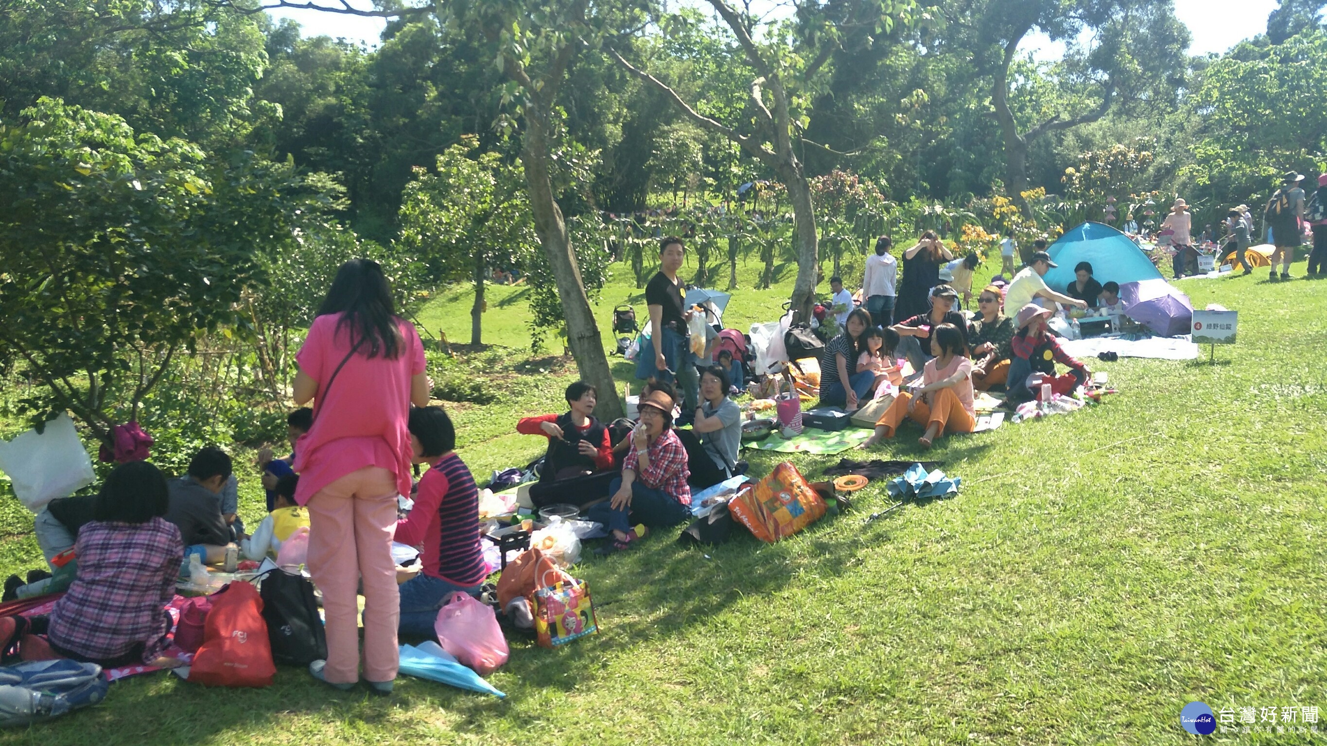 :桐花野餐派對民眾熱情參與。