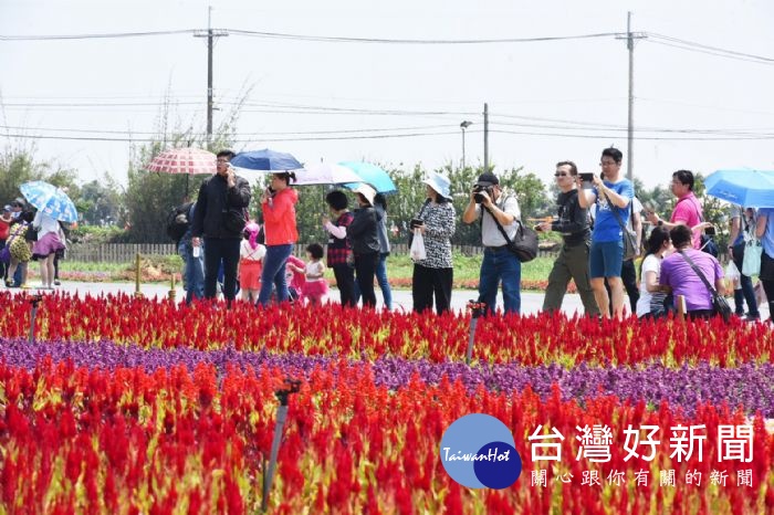 新聞處長張惇涵表示, 五一連假「2017桃園農業博覽會」各展區遊園人數達497萬27人次。