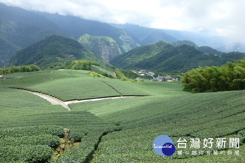 貓空輕旅行　體驗台北後花園（圖／臺北市商業處）