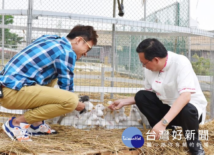 微笑牧場餵食活動，有「兔遊田園區」和「愛牧畜農區」兩區可選擇。