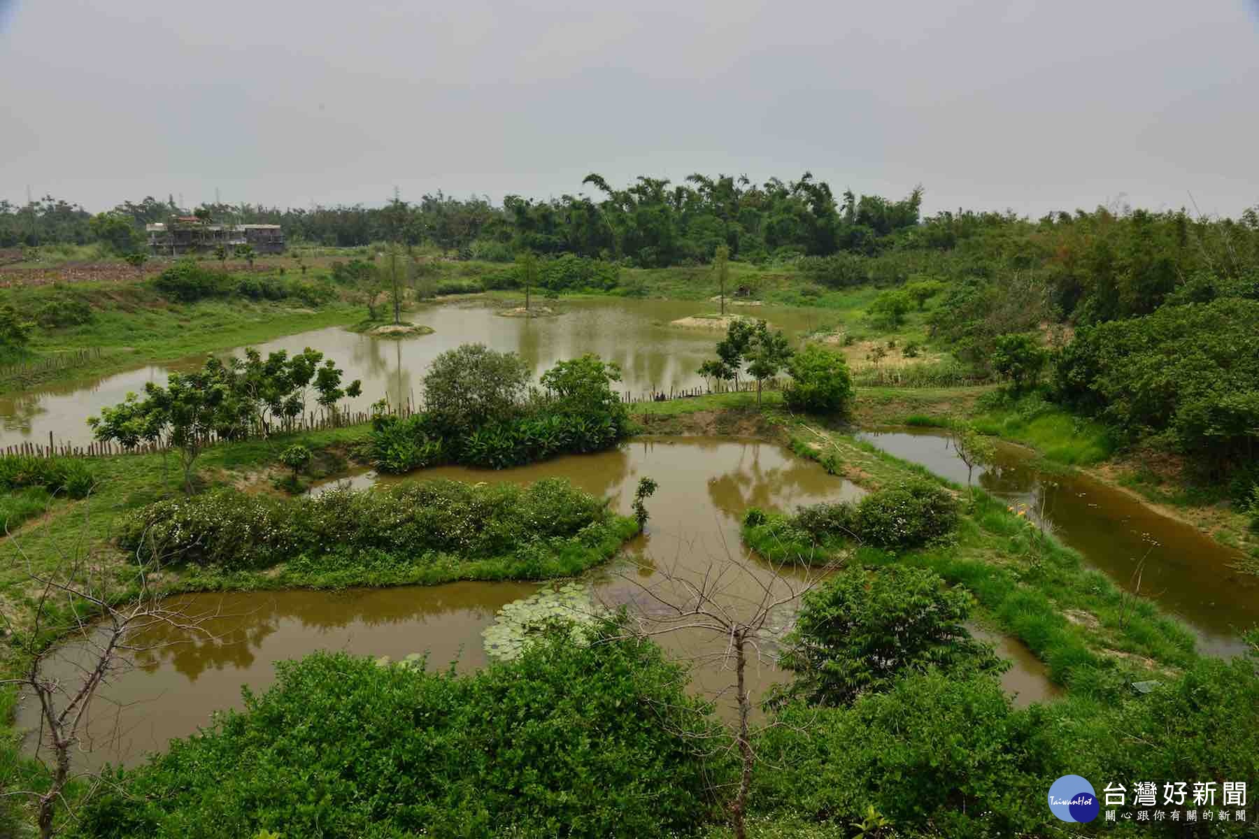 護生教育示範園區 營造人工生態濕地。