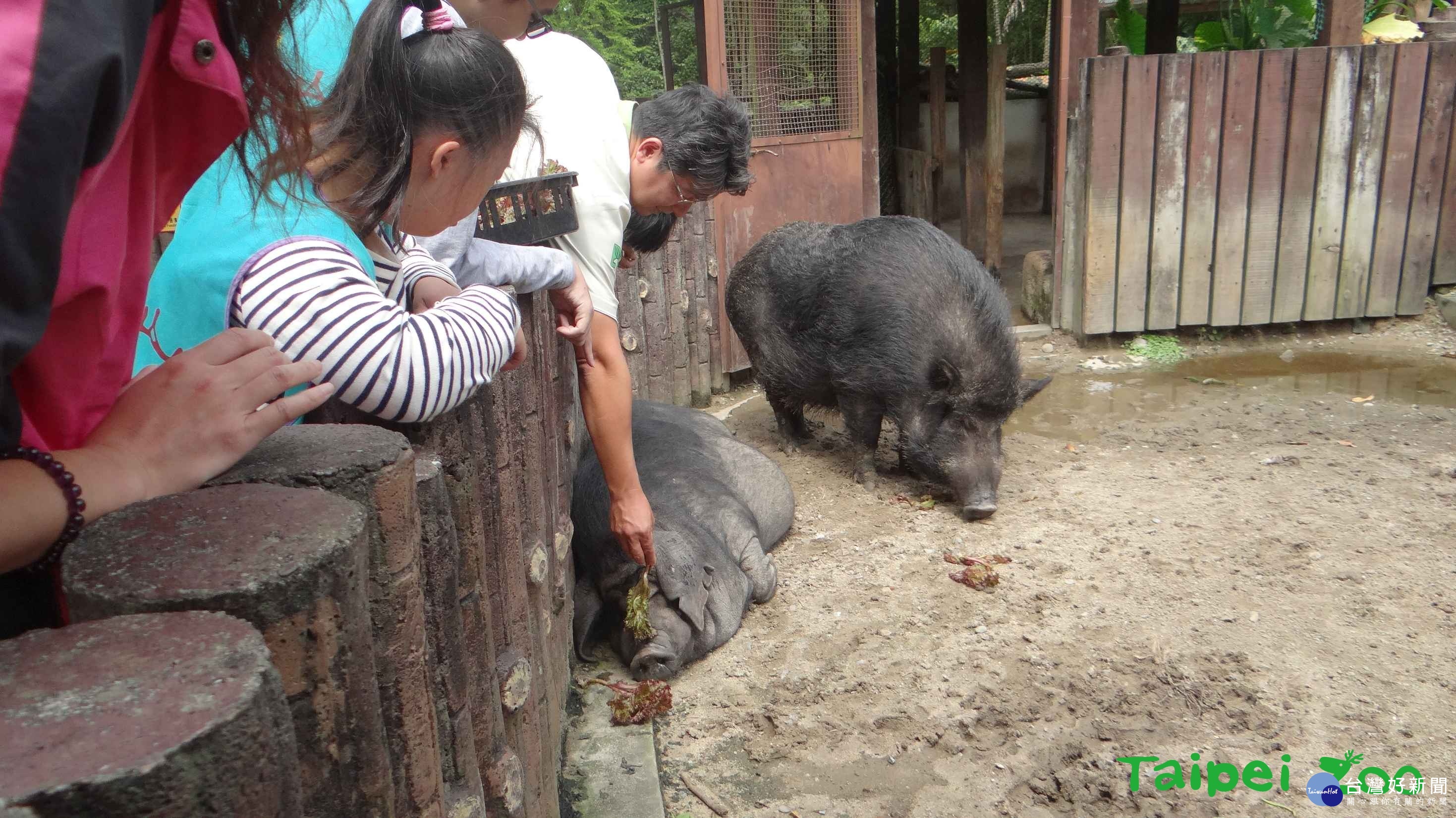 (圖/台北市立動物園提供)