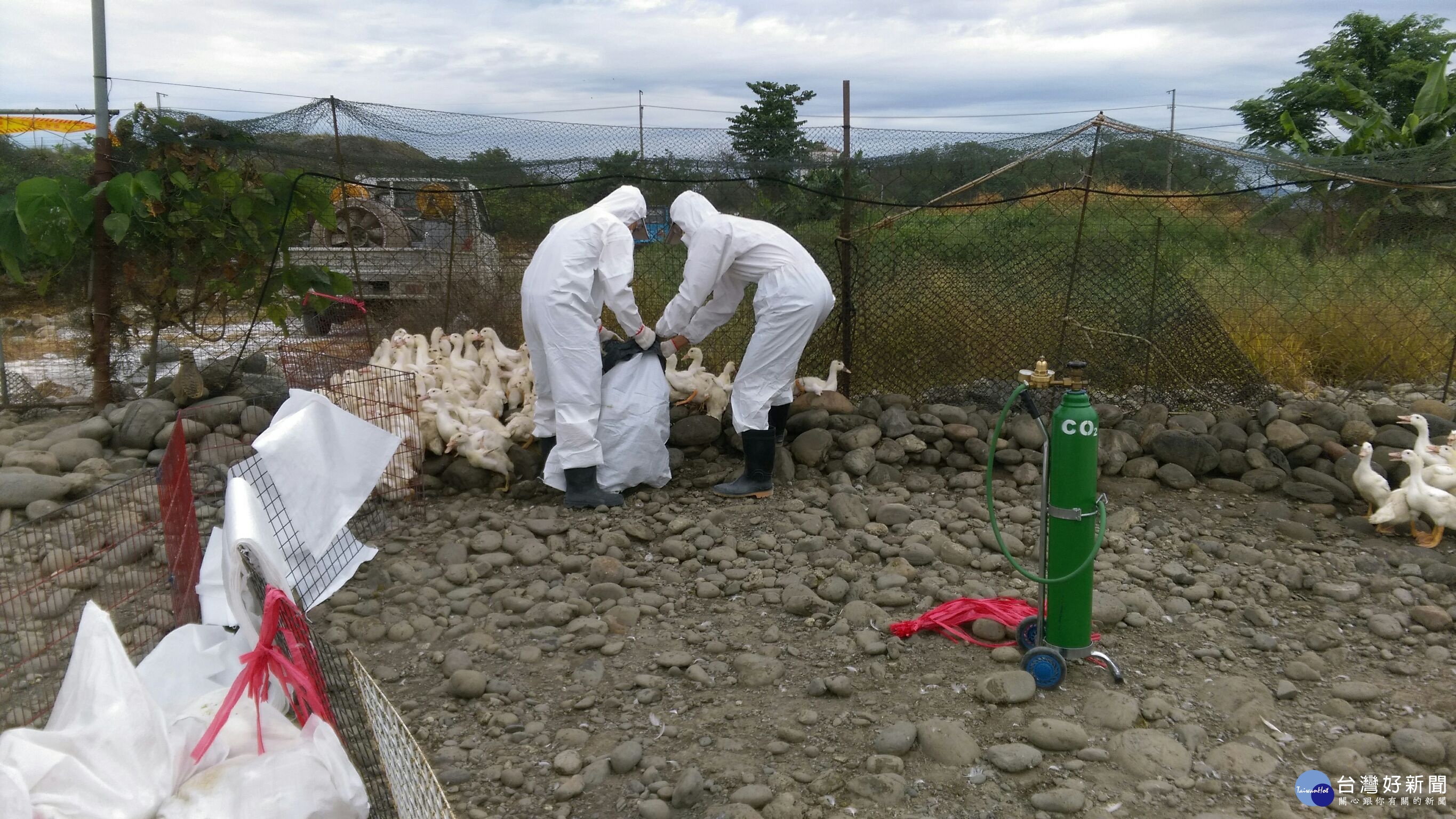 （圖／屏東縣動物防疫所提供）