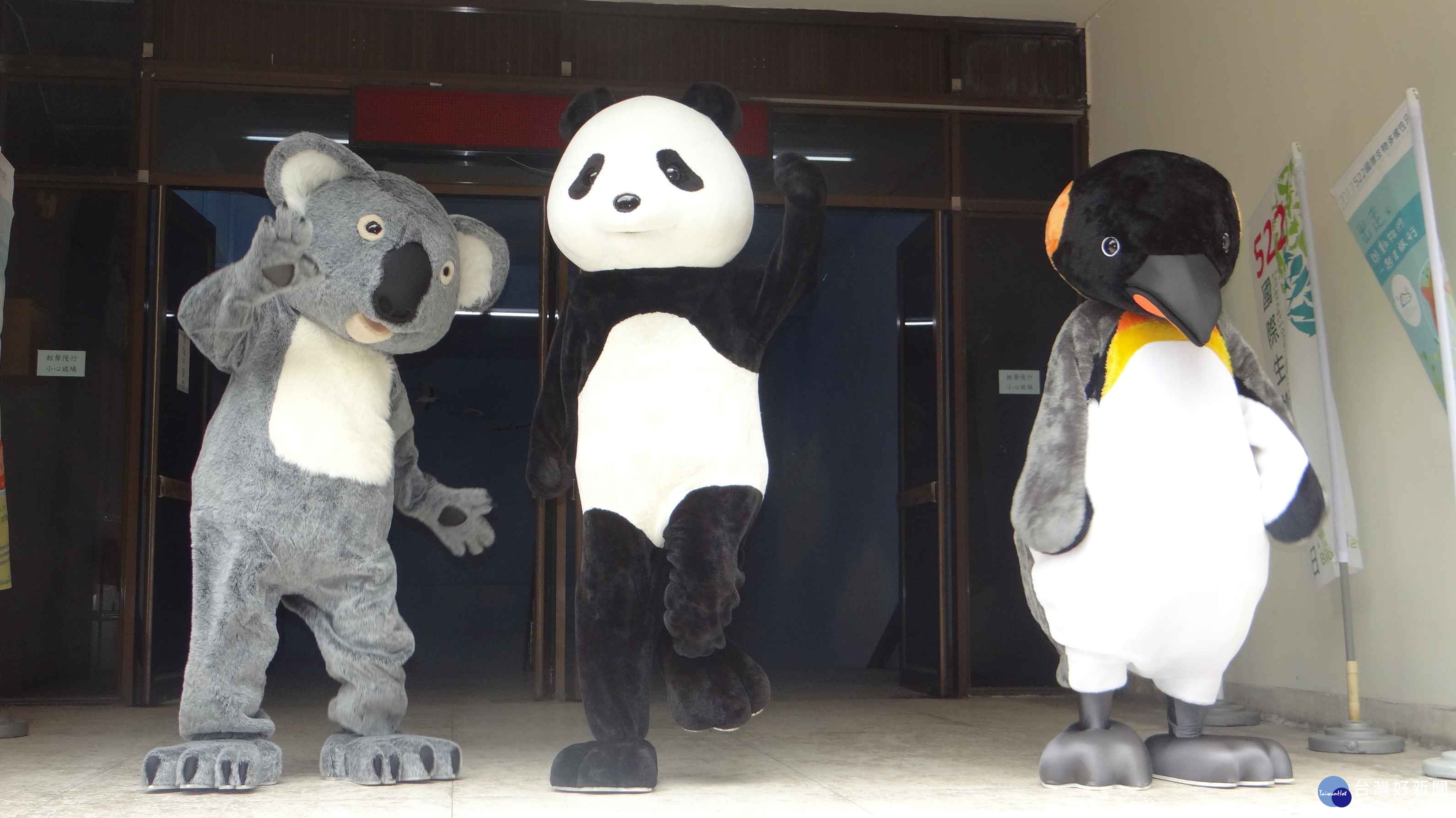 (圖/臺北市立動物園提供)