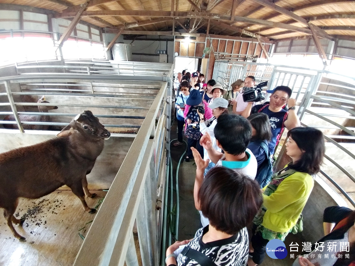 蘆竹區農村生態一日遊 營造觀光農業新模式