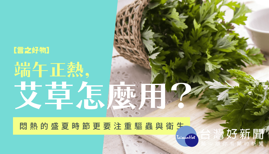 言之好物／端午正熱，艾草怎麼用？