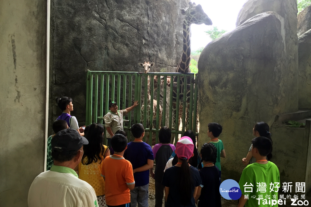保育員體驗營(圖/台北市立動物園提供)