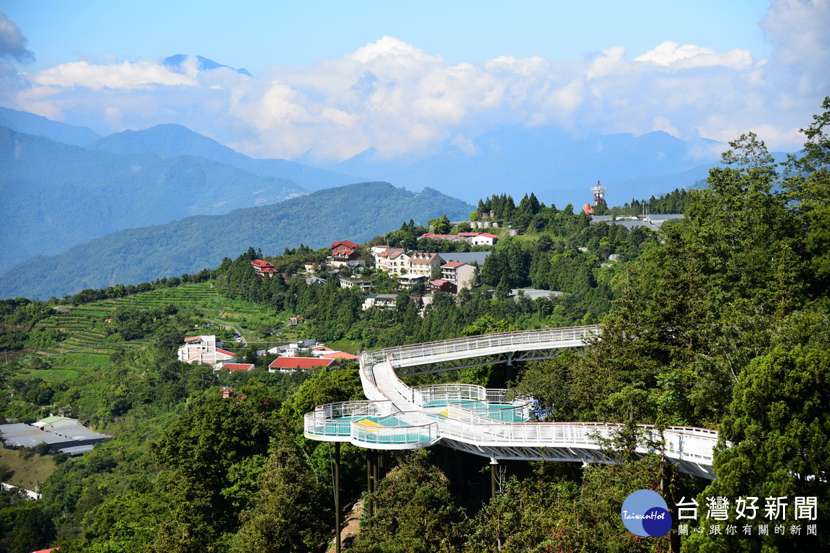 高山步道可自樹冠上欣賞生態。