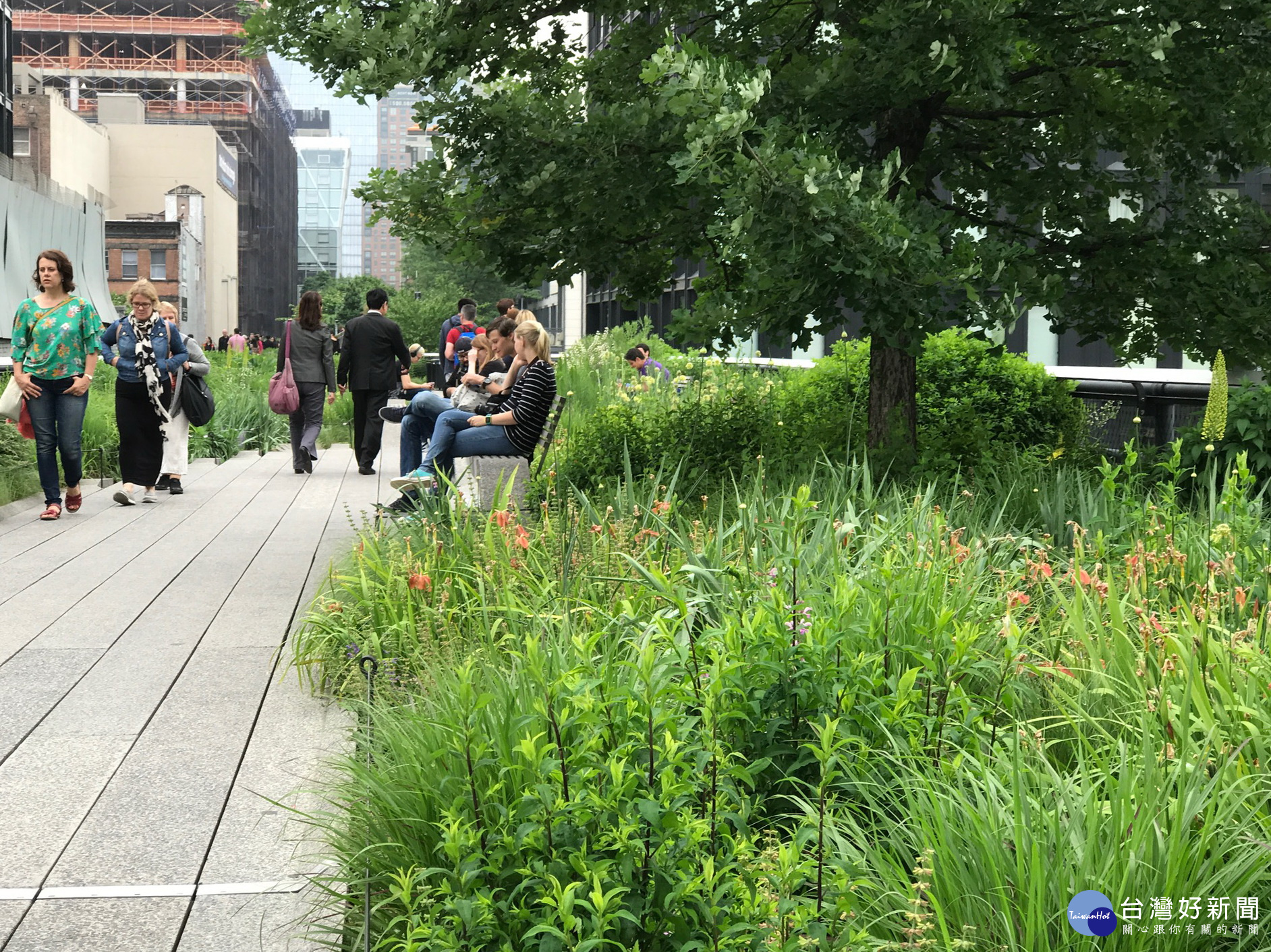 紐約The High Line 城市改建的典範 涂醒哲:嘉義市也可以如此