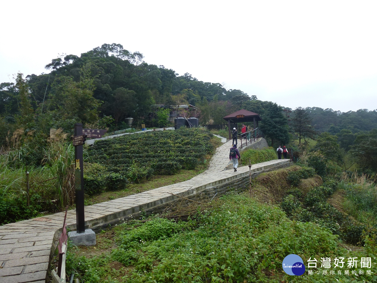 樟湖步道沿途的聆風亭周邊茶園風光。（圖／台北市政府工務局大地工程處提供）