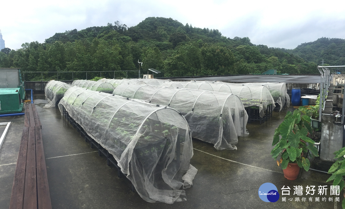 農園ㄧ隅（圖／台北市政府工務局公園路燈工程管理處提供）