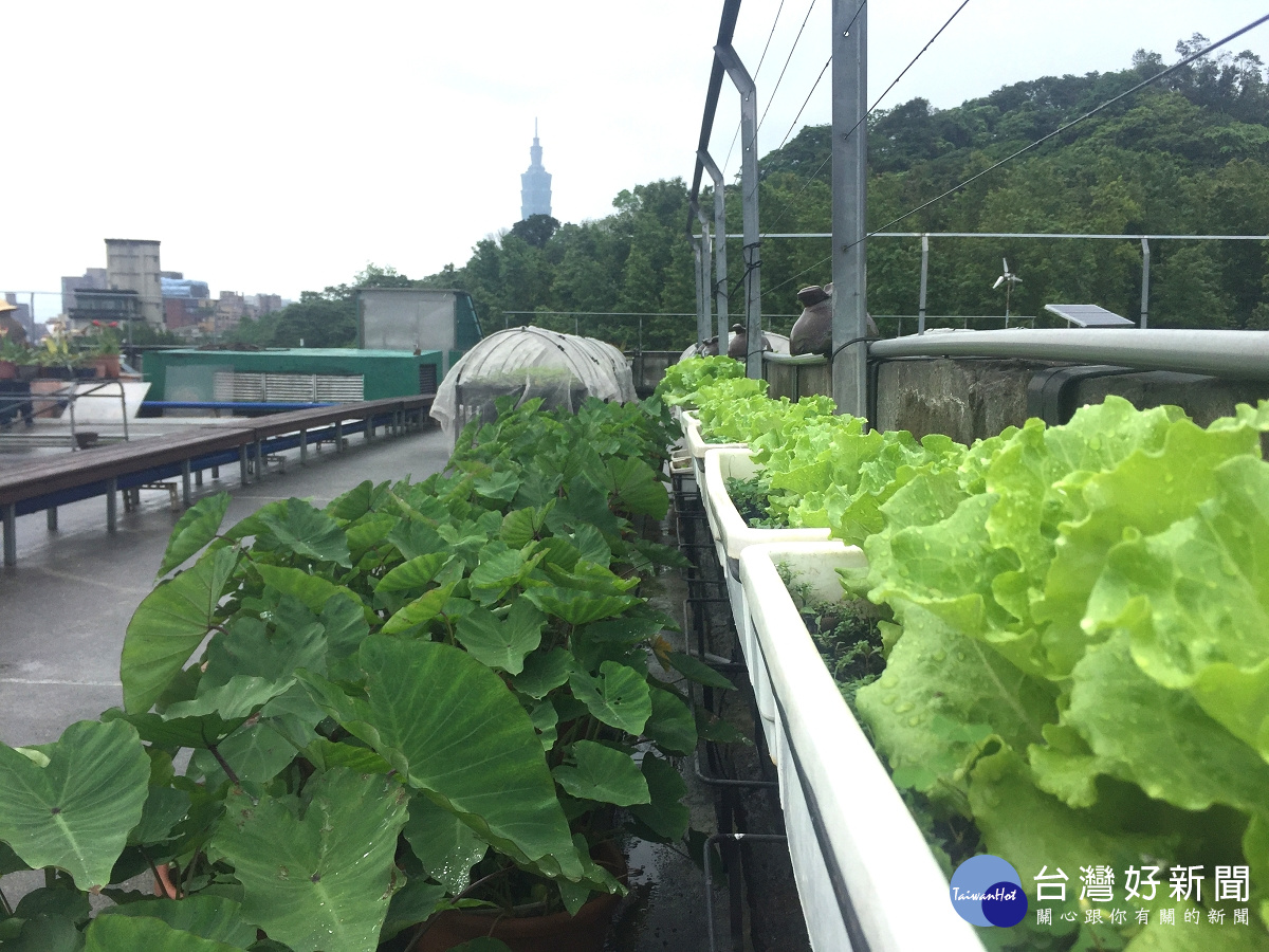 農園美景,可遠眺臺北101(圖/台北市政府工務局公園路燈工程管理處提供)