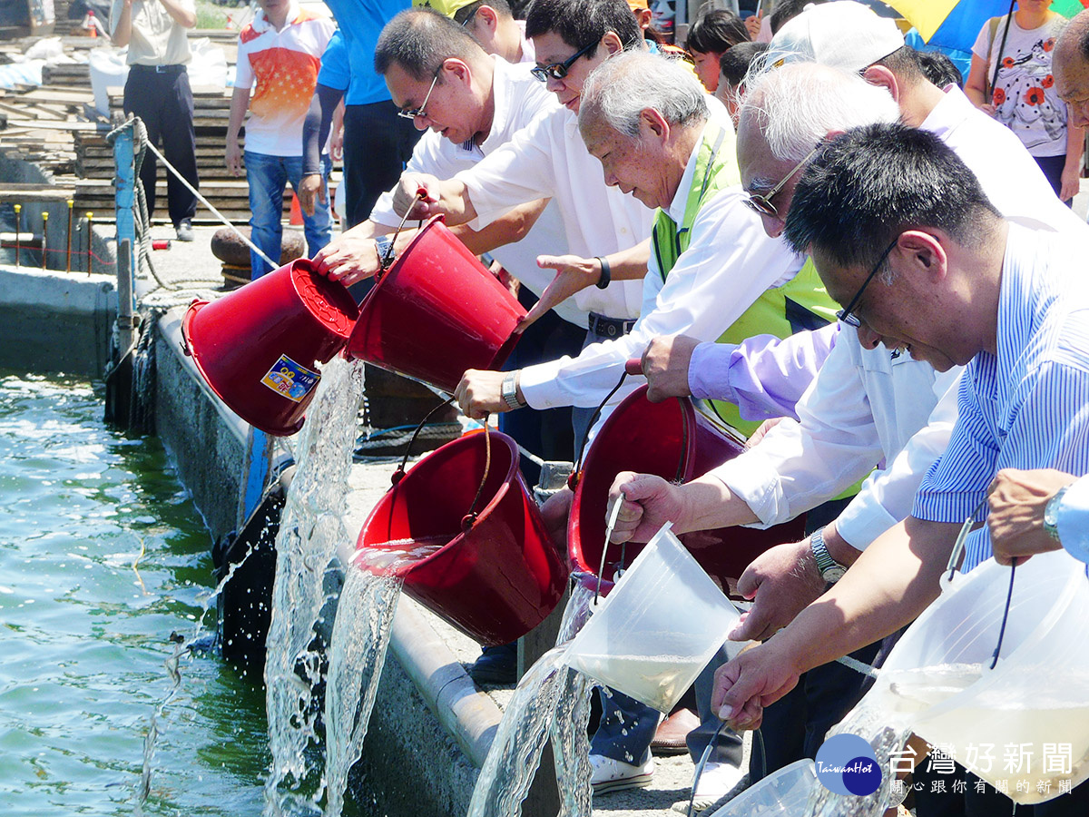 一路走來，始終如一　六輕10年來放流魚苗436萬多尾　