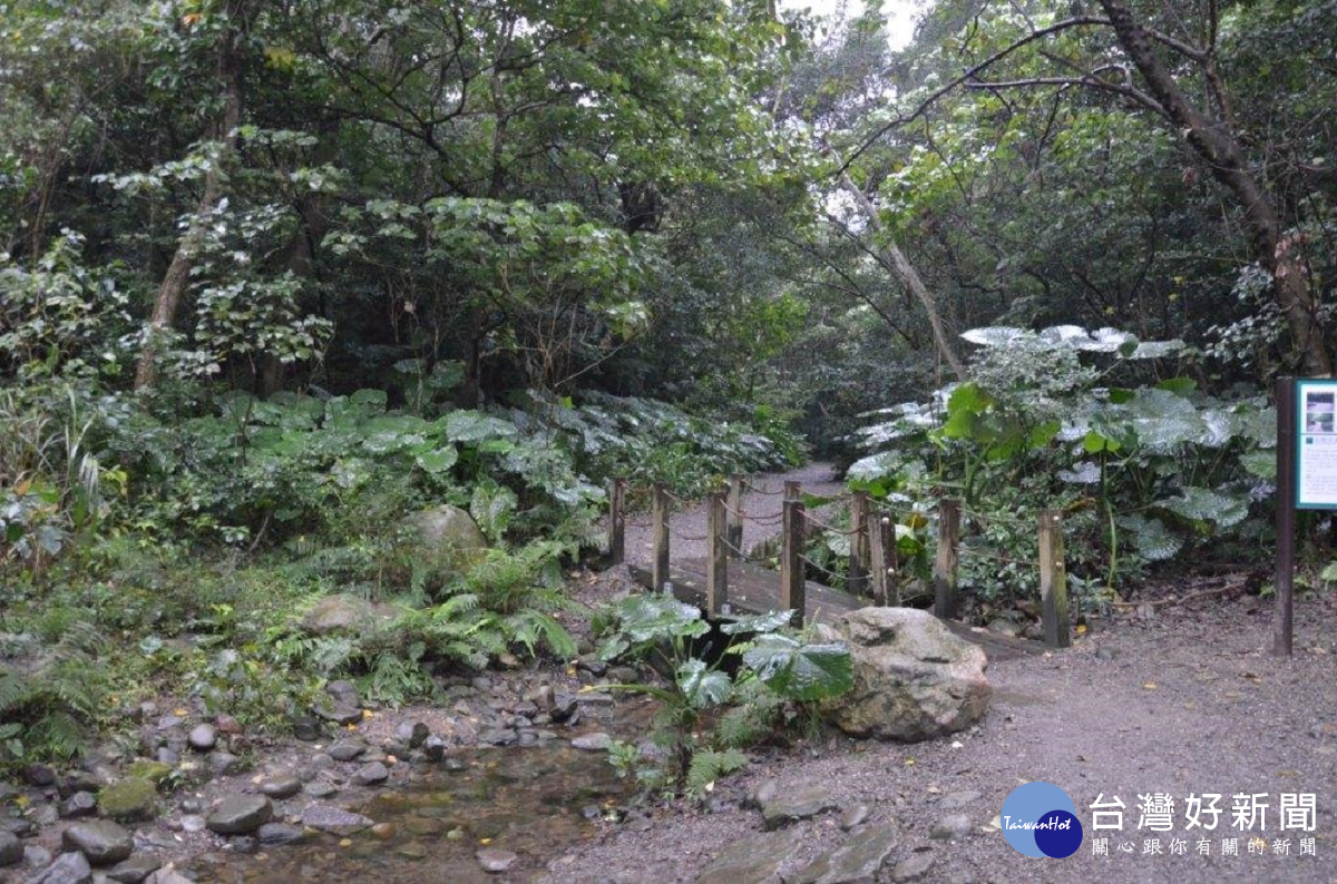 野間的小溪植物在不同季節氣候產生不同景觀（圖／台北市政府工務局提供）