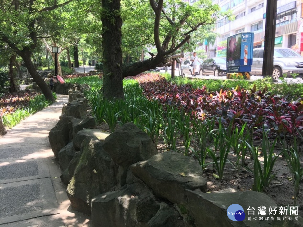 北投公園林下裸露景觀。(圖/台北市政府工務局提供)