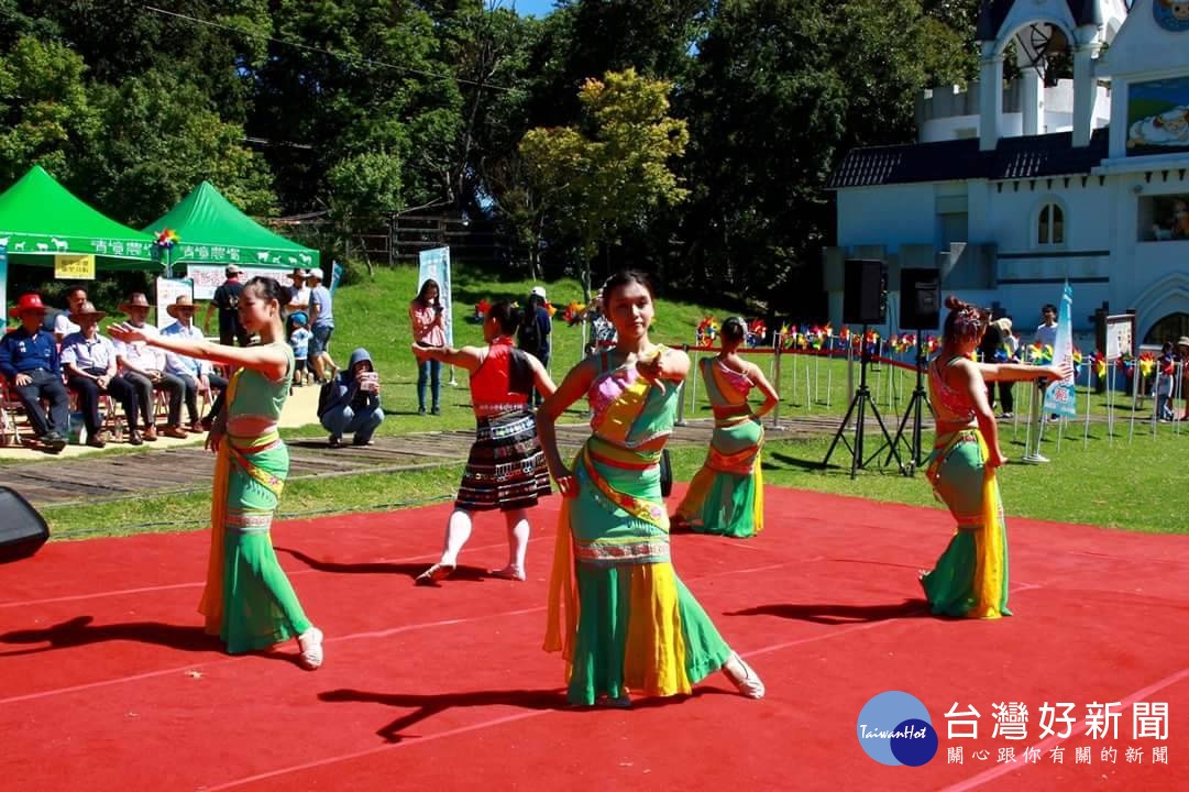 精彩的雲南傣族傳統舞蹈表演。