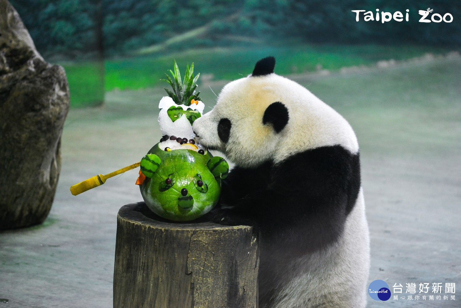 (圖/台北市立動物園提供)
