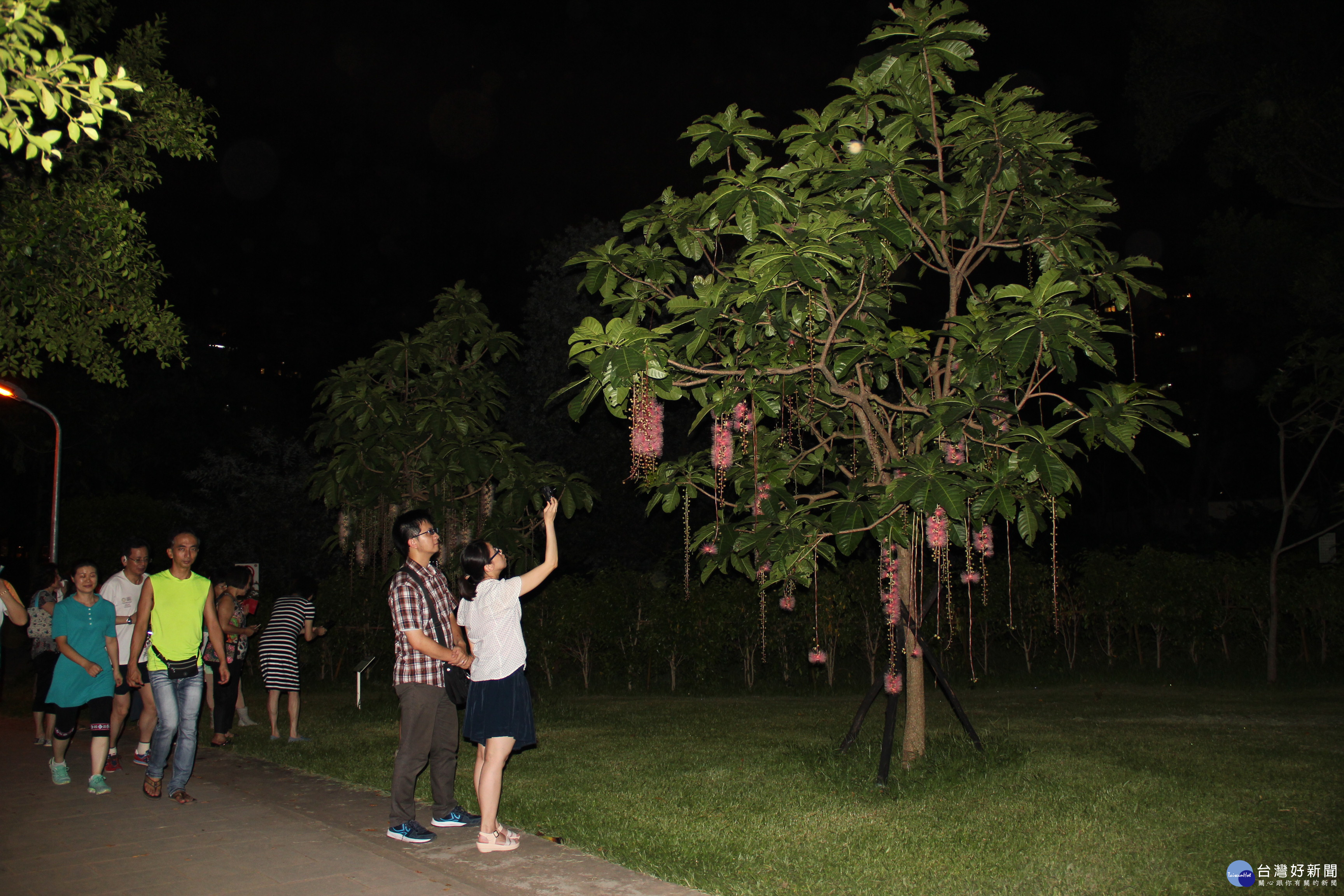 (圖/北市公園處提供)