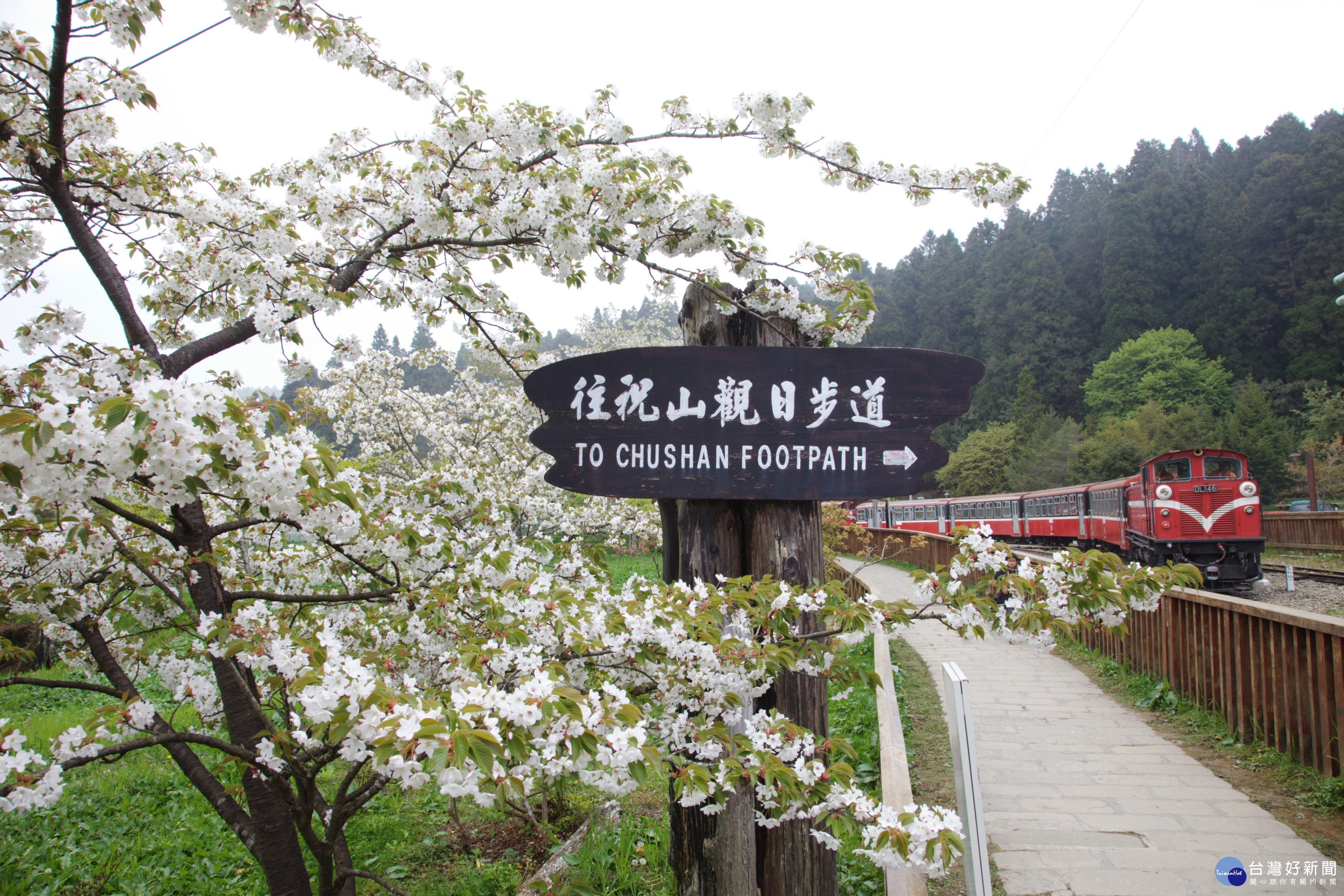 2017阿里山文學獎發表 最高海拔的寫作 成果集 風傳媒