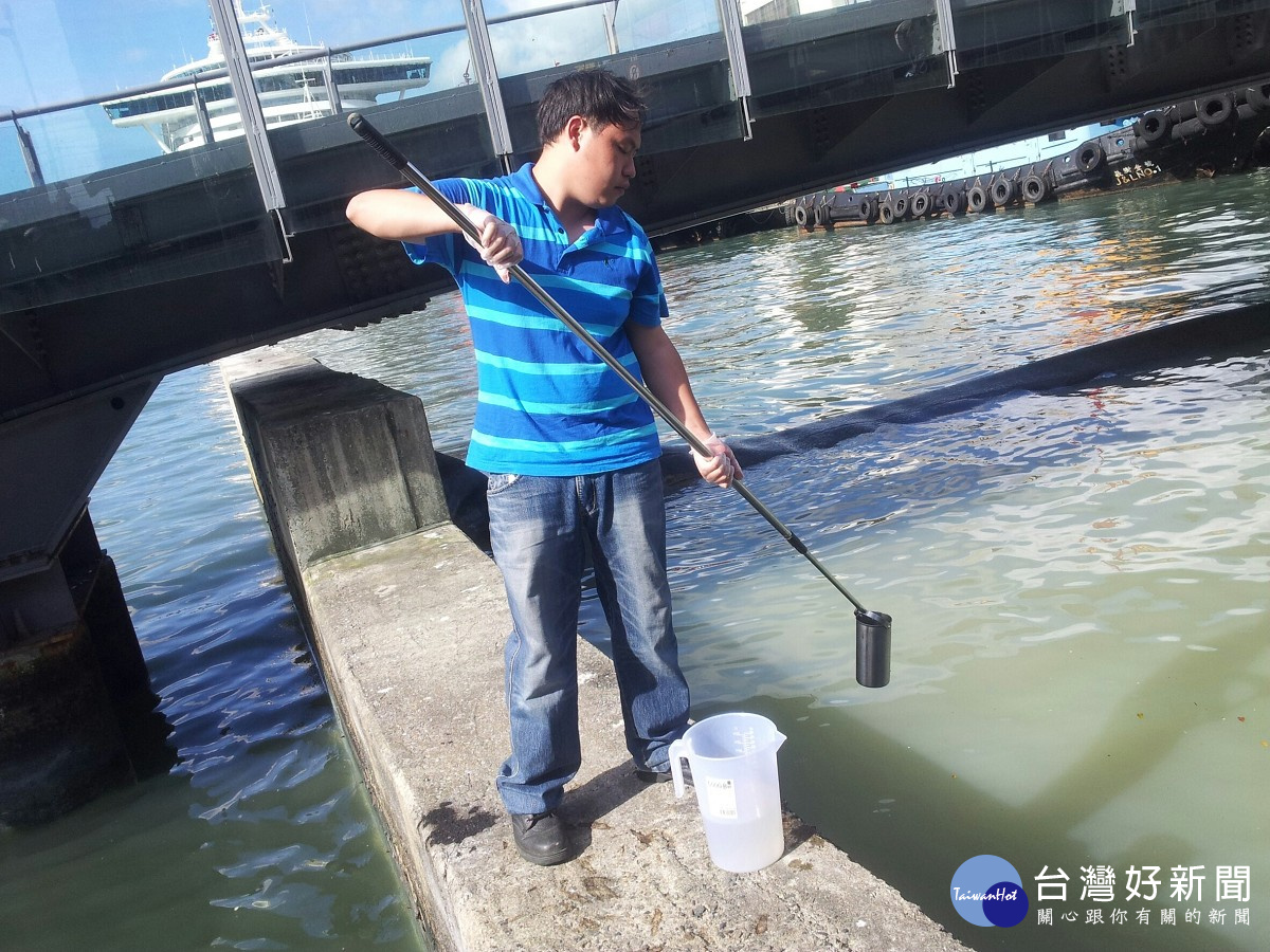 基隆海洋廣場飄散死魚臭味　環保局：因氣候炎熱導致魚群死亡
