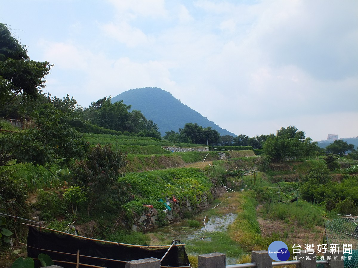 十八挖水圳步道沿途梯田景觀。（圖／北市工務局大地工程處提供）