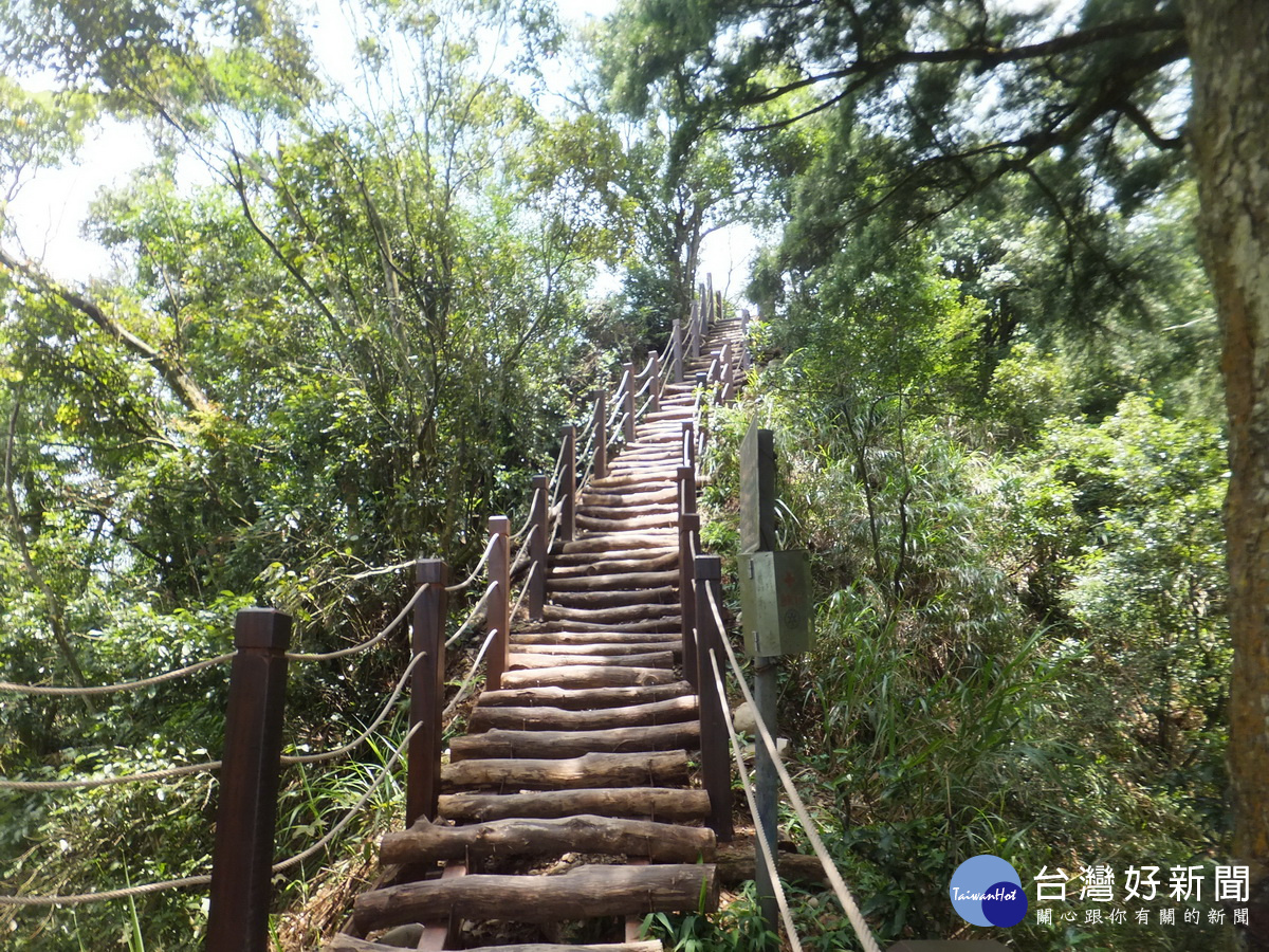 大坑登山步道夯　台中再砸4600萬整修