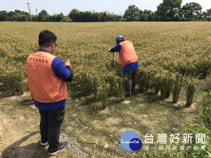 為確保滲眉埤週邊農地之耕種安全，環保局展開106坵塊，面積約20公頃零星農地調查作業 。