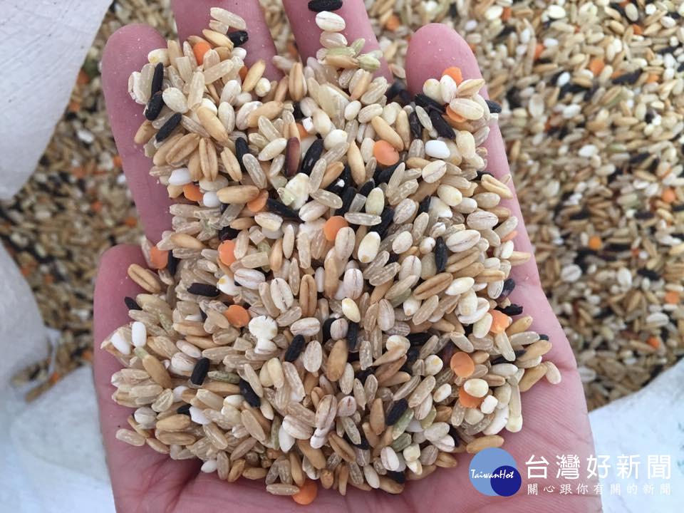 除了香米之外,還有五穀米等其他穀物可以選擇。(圖/芭寶米提供)