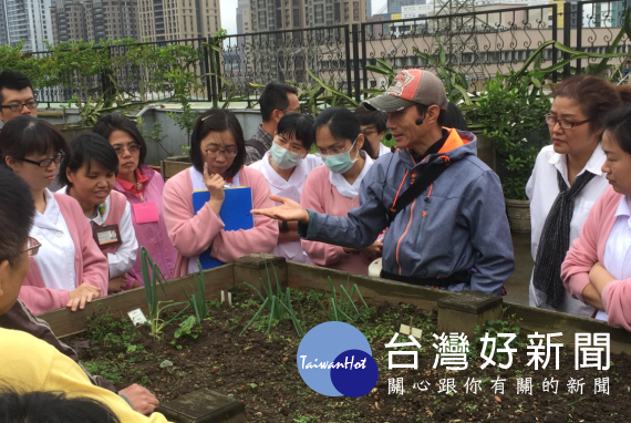 水泥屋頂變菜園。（台灣好新聞）