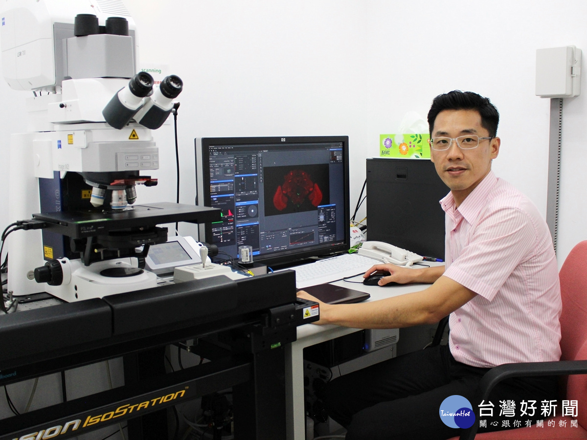 長庚大學吳嘉霖副教授團隊利用果蠅研究長期記憶形成的機制時,發現短、長期記憶的形成是由兩套截然不同的大腦神經迴路與分子機制所控制,也就是說,長期記憶並非由短期記憶轉化而來