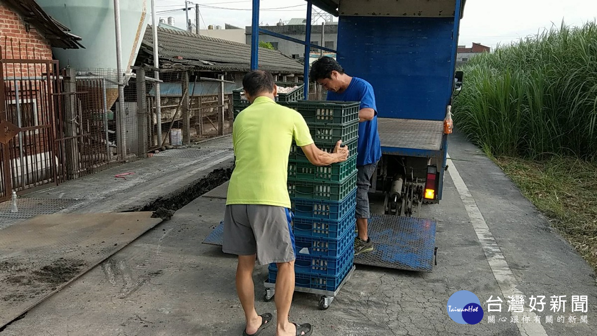 二林銷毀毒雞蛋((運送雞蛋)圖/彰化縣政府提供
